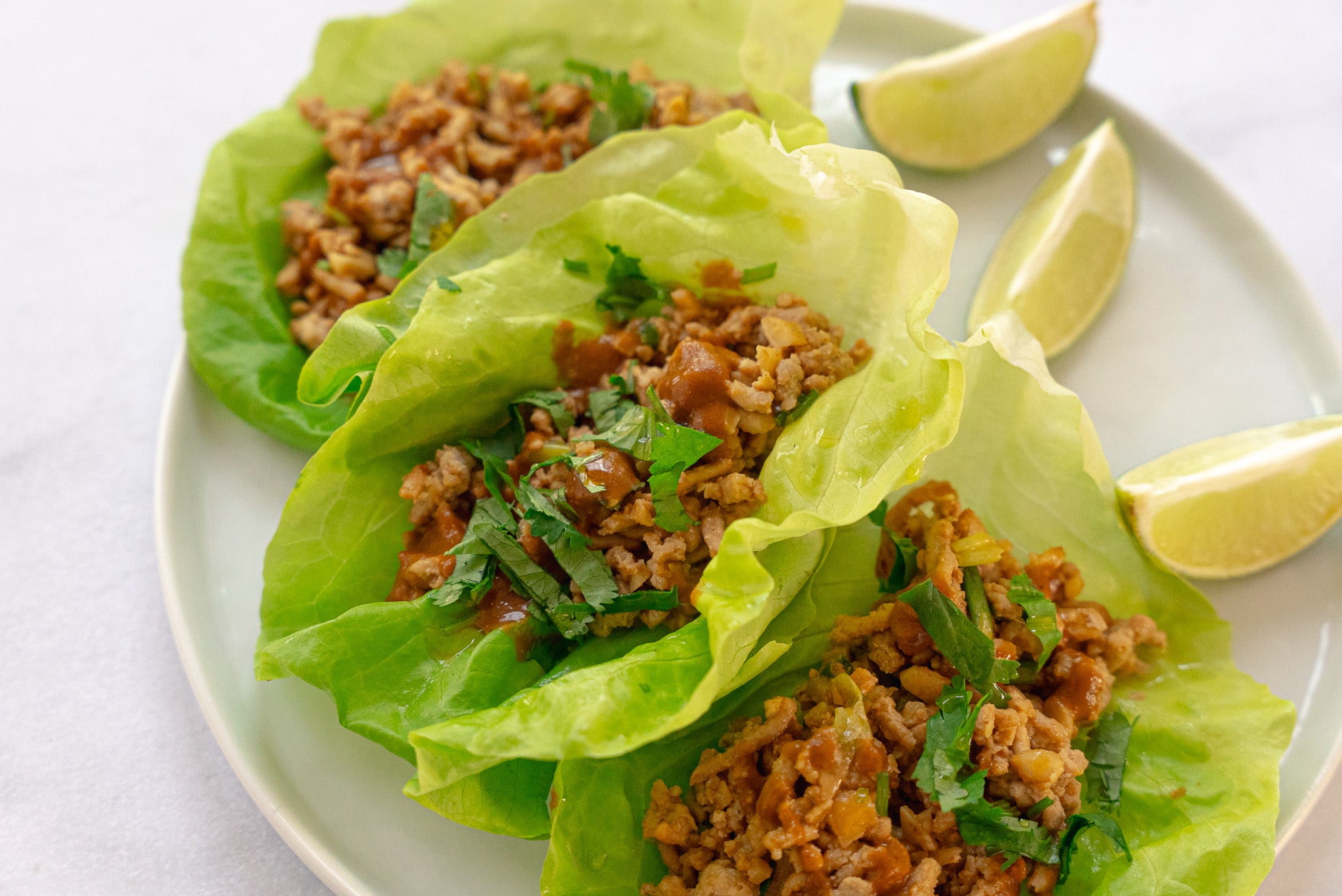 Ground Chicken Lettuce Wraps – Kosterina