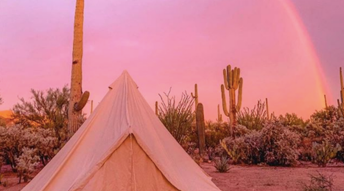 Small Changes For A Healthier Planet