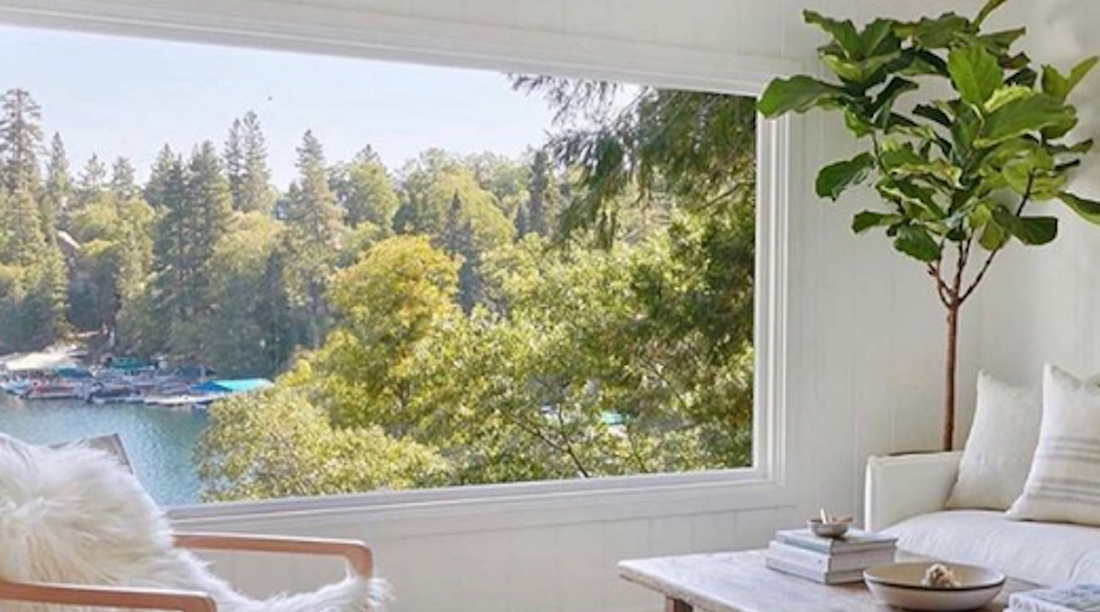 The Key to Immunity? Less Stress.