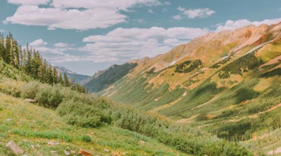 The Healing Power of Nature