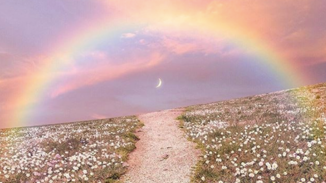 How To Manifest Anything You Want