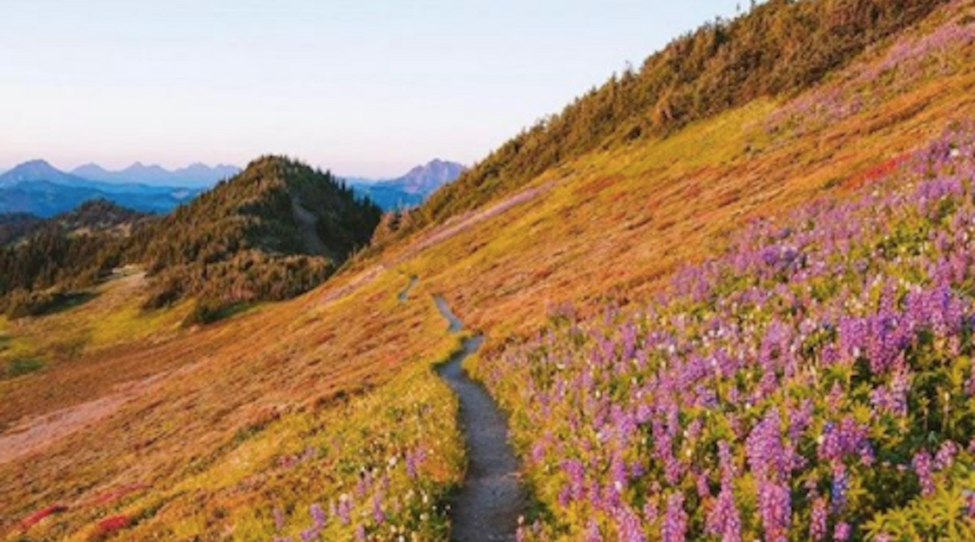 Make Health Your Full-time Job