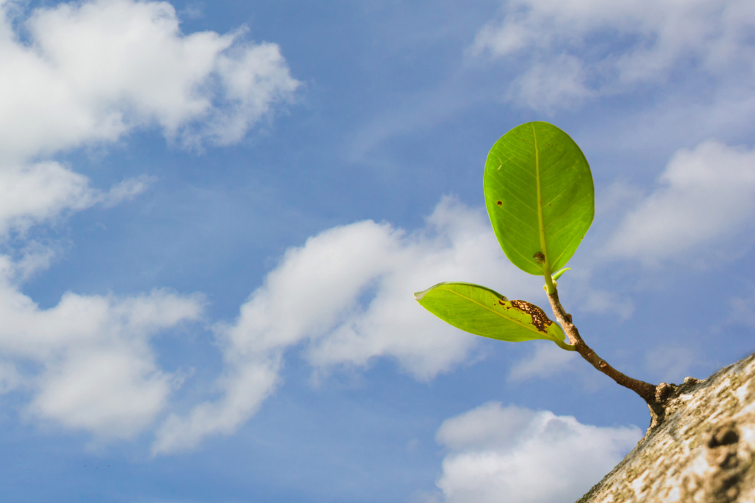 Your Ultimate Goal-Setting Guide