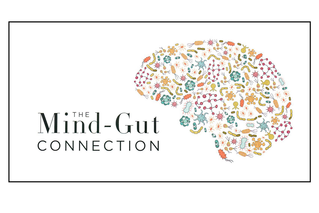 Book Report: The Mind-Gut Connection