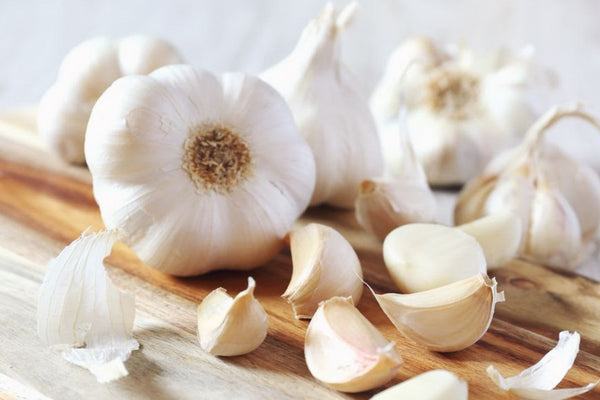 The Power of Garlic