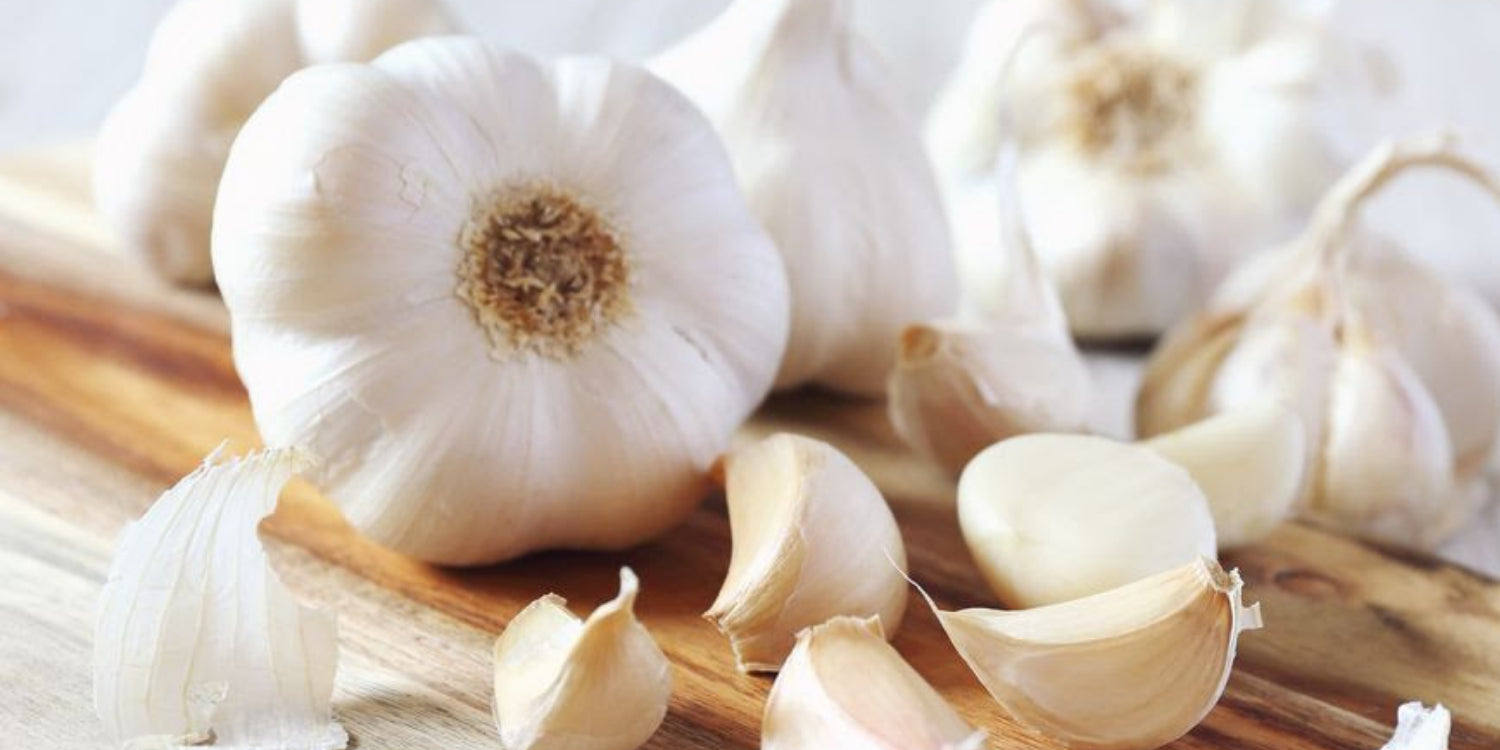 The Power of Garlic
