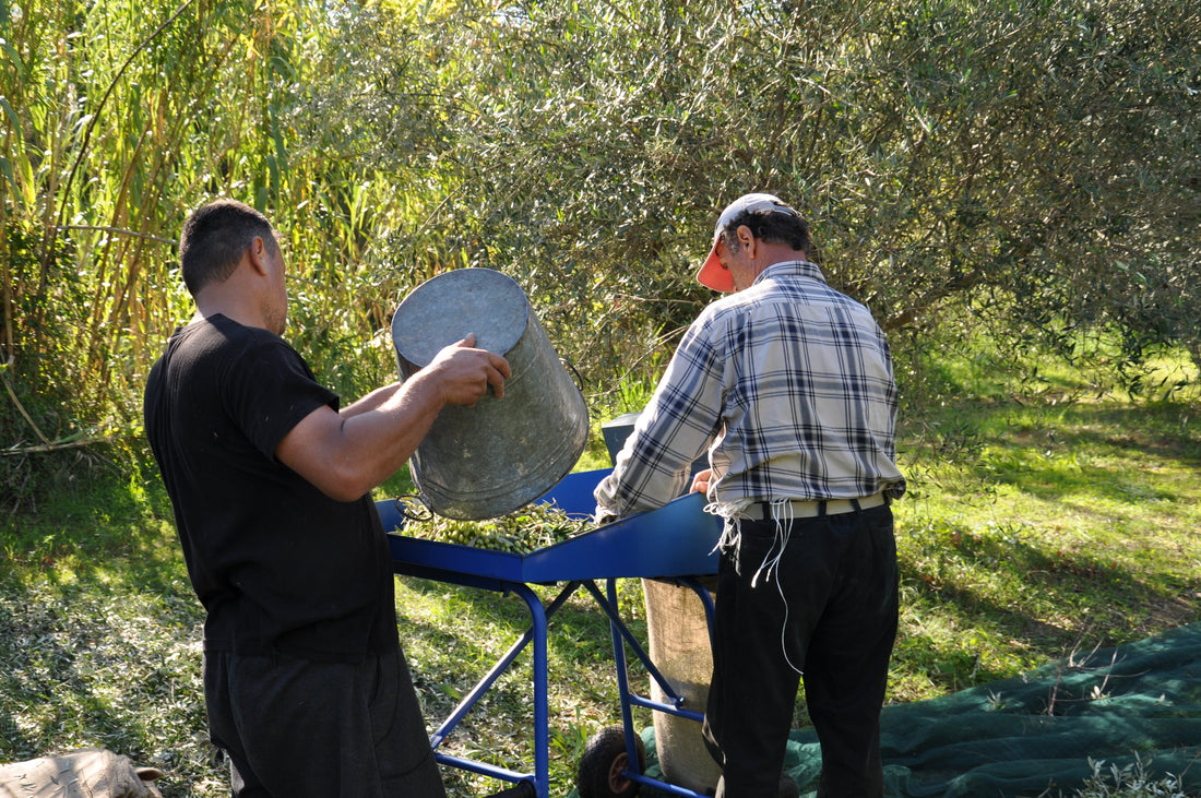 What is Agrotourism and Why it is Our Favorite Hobby