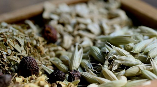 Ancient Ingredients, Modern Superpowers: The Oregano Edition