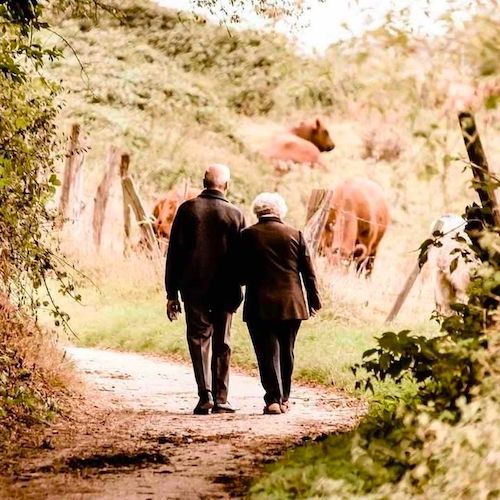 Learn from the world's longest-lived people